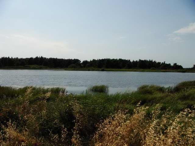 Коммерческая / Отель, Греция, Халкидики, Кассандра, 12 000 000 € фото 15