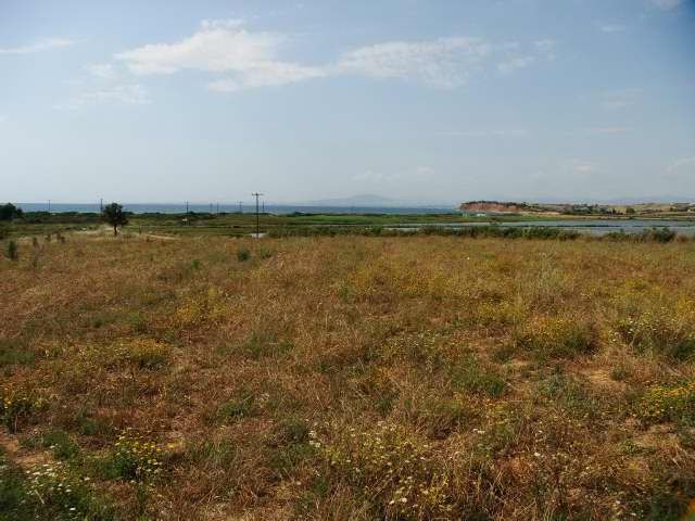 Коммерческая / Отель, Греция, Халкидики, Кассандра, 12 000 000 € фото 2
