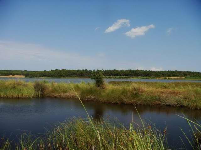 Коммерческая / Отель, Греция, Халкидики, Кассандра, 12 000 000 € фото 4