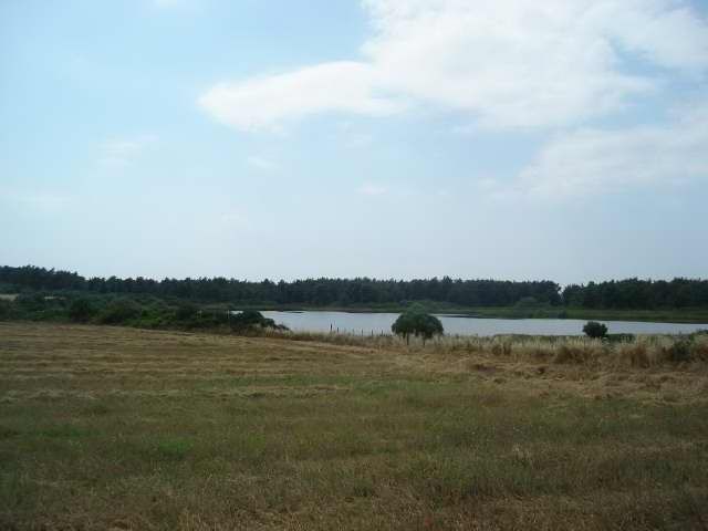 Коммерческая / Отель, Греция, Халкидики, Кассандра, 12 000 000 € фото 9