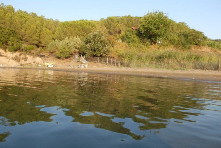 Земля, Греція, Халкідіки, Ситонія, 3 500 000 € фото 1