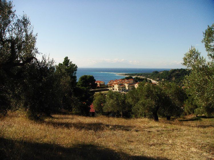 Земля, Греція, Халкідіки, Кассандра, 300 000 € фото 3