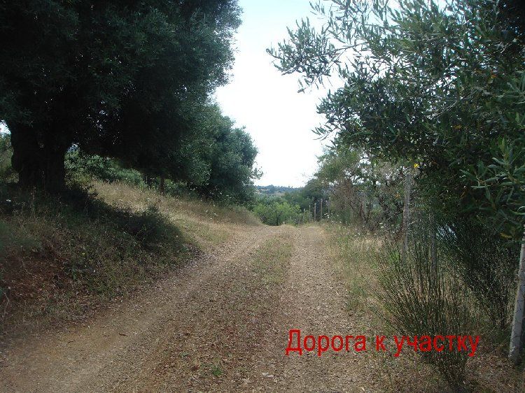Земля, Греція, Халкідіки, Кассандра, 230 000 € фото 15