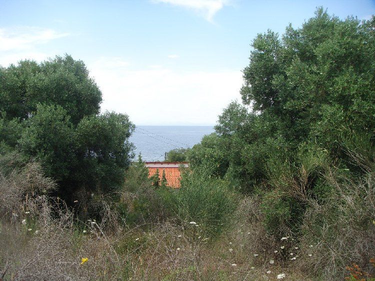 Земля, Греція, Халкідіки, Кассандра, 230 000 € фото 4
