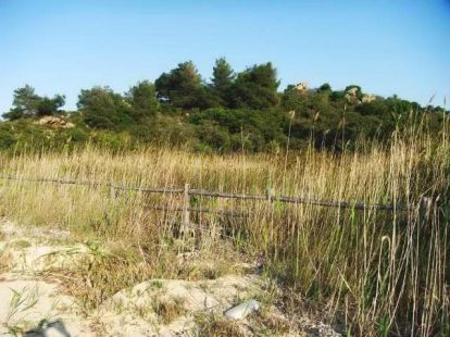 Земля, Греция, Халкидики, Ситония фото 6