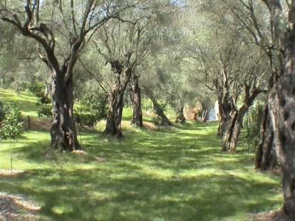 House / Villa, Greece, Ionian Islands, Corfu, 2 500 000 € photo 14