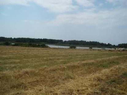 Коммерческая / Отель, Греция, Халкидики, Кассандра, 12 000 000 € фото 7