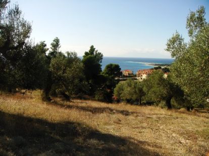 Земля, Греція, Халкідіки, Кассандра, 300 000 € фото 4