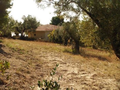 Земля, Греція, Халкідіки, Кассандра, 300 000 € фото 5