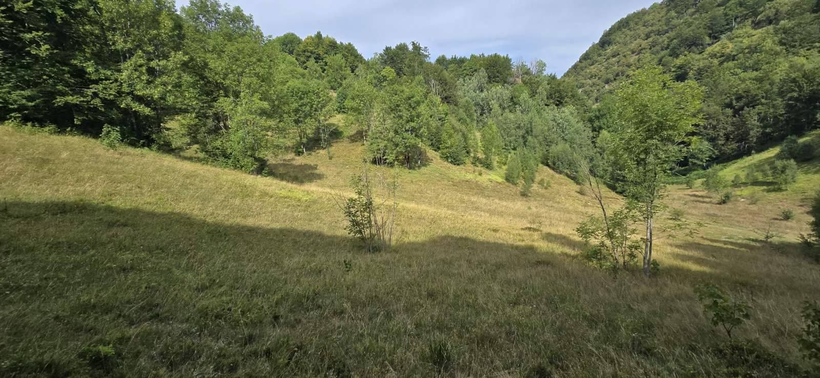 Parcel, Montenegro, Kolasin c., Kolasin, 15 € photo 3