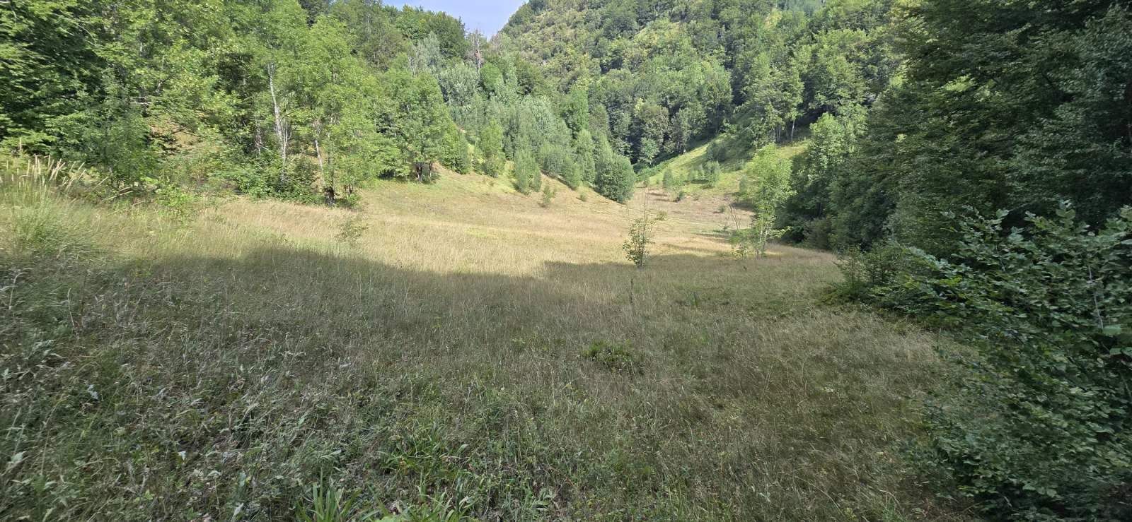 Parcel, Montenegro, Kolasin c., Kolasin, 15 € photo 4