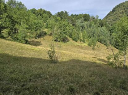 Parcel, Montenegro, Kolasin c., Kolasin, 15 € photo 3