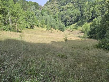 Parcel, Montenegro, Kolasin c., Kolasin, 15 € photo 4