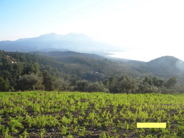 Parcel, Greece, Peloponnese, 275 000 € photo 10