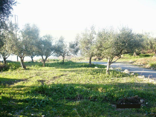Parcel, Greece, Peloponnese, 275 000 € photo 8