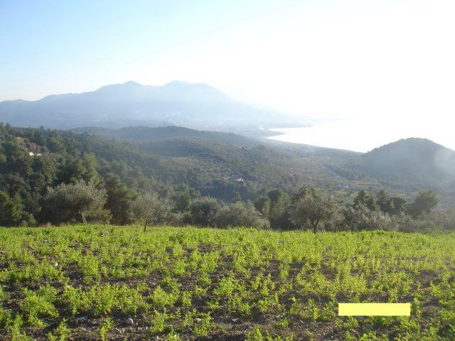 Parcel, Greece, Peloponnese, 270 000 € photo 5