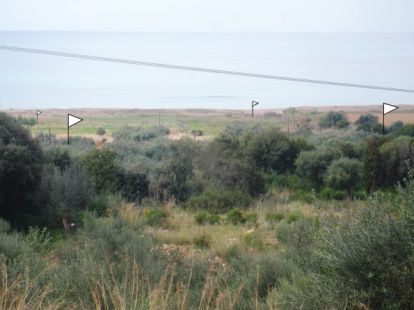 Land , Greece for 275 000€ (ID:79356)