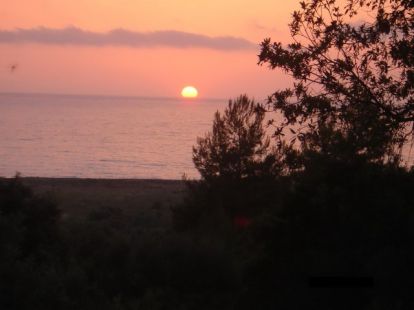 Parcel, Greece, Peloponnese, 275 000 € photo 3