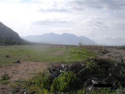 Parcel, Greece, Peloponnese, 275 000 € photo 6
