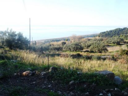 Parcel, Greece, Peloponnese, 275 000 € photo 7