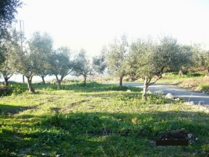 Parcel, Greece, Peloponnese, 275 000 € photo 8