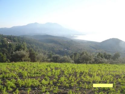 Parcel, Greece, Peloponnese, 270 000 € photo 5