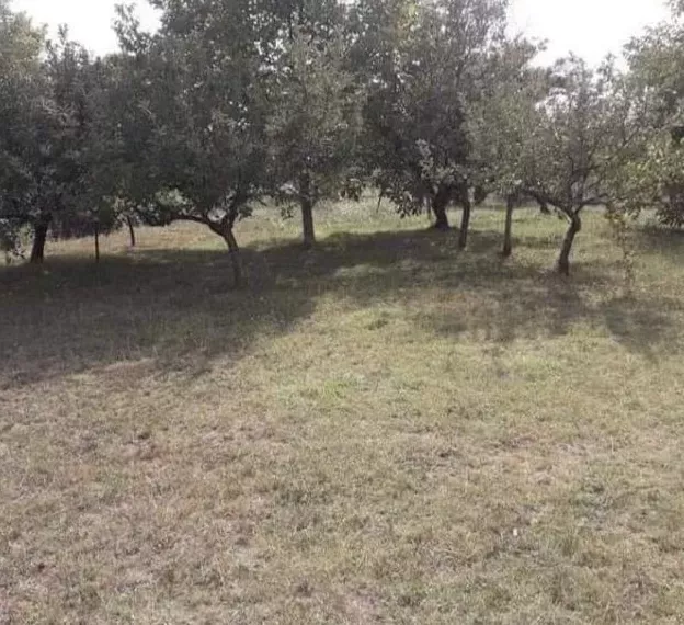 Дом / Таунхаус, Черногория, О. Даниловград, Даниловград, 82 000 € фото 7