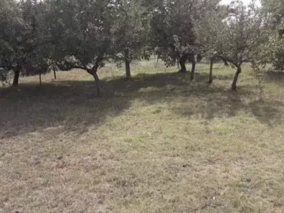 Дом / Таунхаус, Черногория, О. Даниловград, Даниловград, 82 000 € фото 7