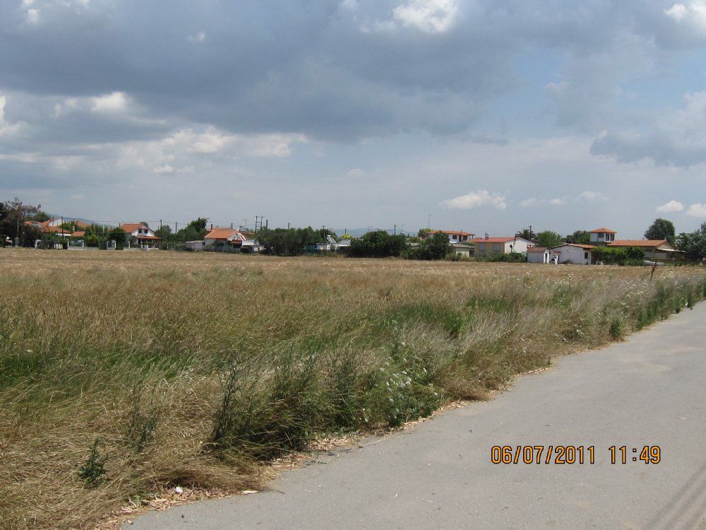 Земля, Греція, Халкідіки, Кассандра, 2 500 000 € фото 7