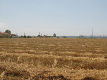 Земля, Греція, Халкідіки, Кассандра, 2 500 000 € фото 5