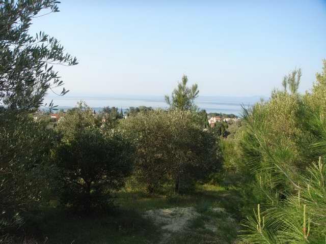Земля, Греция, Халкидики, Кассандра, 420 000 € фото 3