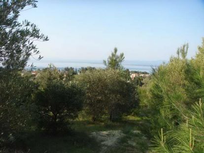 Земля, Греция, Халкидики, Кассандра, 420 000 € фото 3