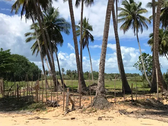 Земля, Доминиканская республика, Мария Тринидад Санчес, Кабрера, 439 000 $ фото 2