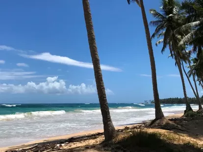 Земля, Доминиканская республика, Мария Тринидад Санчес, Кабрера, 439 000 $ фото 4