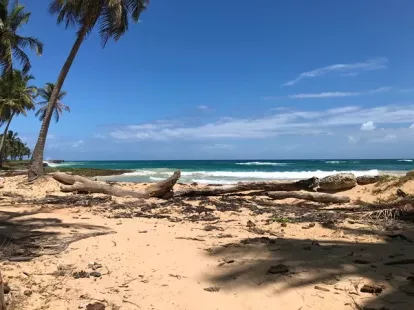 Земля, Доминиканская республика, Мария Тринидад Санчес, Кабрера, 439 000 $ фото 5