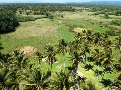 Земля, Доминиканская республика, Мария Тринидад Санчес, Кабрера, 439 000 $ фото 7