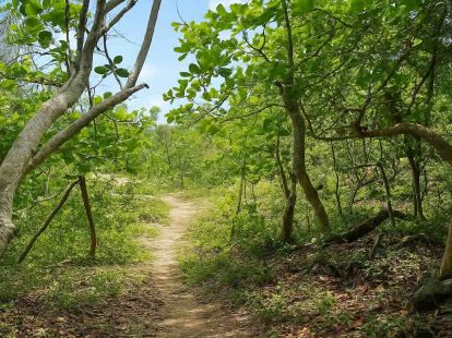Land in Cabarete, Dominican Republic for 200 000$ (ID:79394)