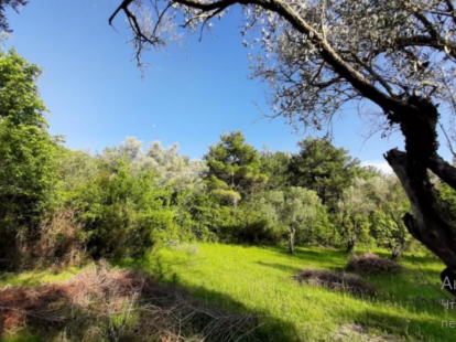 Parcel, Montenegro, Kotor c., Kotor, 261 240 € photo 2