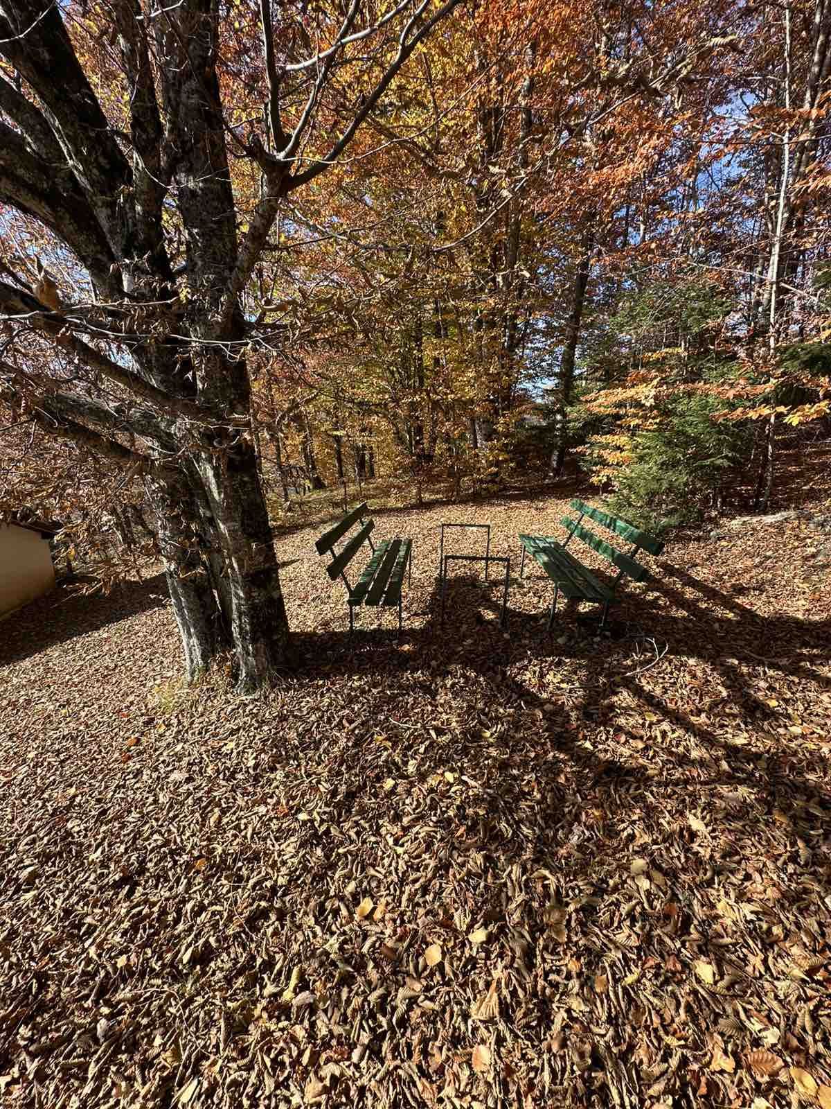 House / Cottage, Montenegro, Kolasin c., Kolasin, 79 500 € photo 3