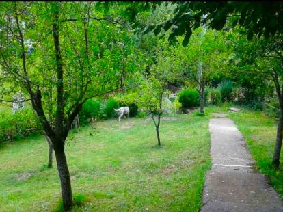 House / Cottage, Montenegro, Kolasin c., Kolasin, 79 500 € photo 8