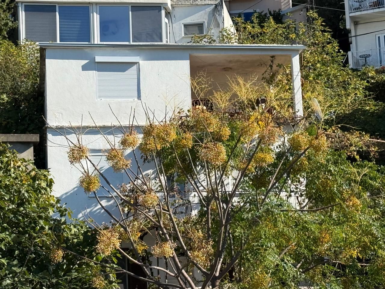 House / Townhouse, Montenegro, С. Bar, Sutomore, 160 000 € photo 18