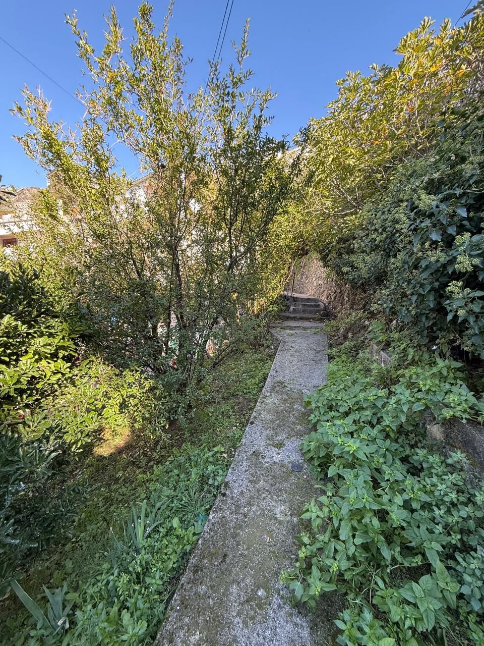 House / Townhouse, Montenegro, С. Bar, Sutomore, 160 000 € photo 5