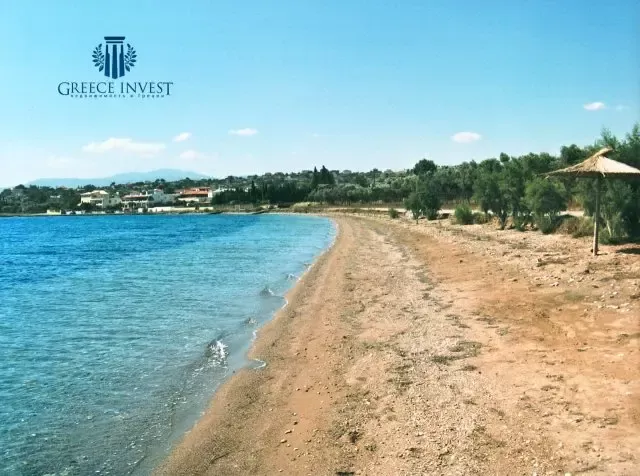 Земля, Греція, Пелопоннес, 5 000 000 € фото 2