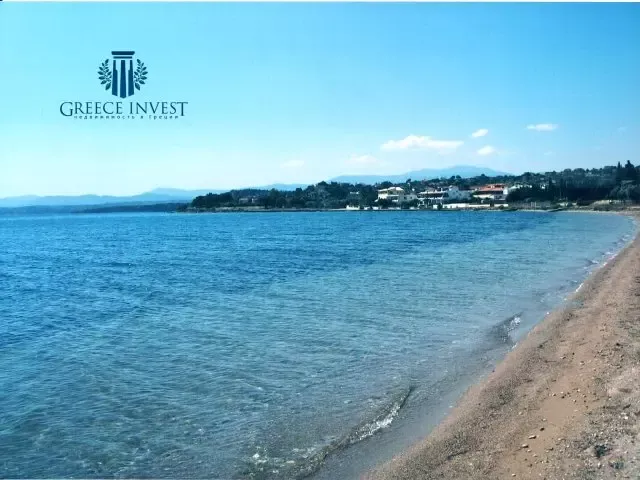 Земля, Греція, Пелопоннес, 5 000 000 € фото 5