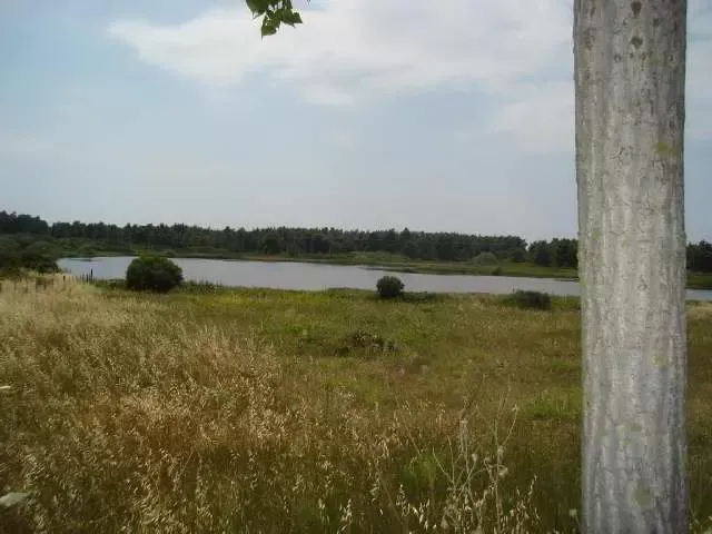 Gewerbeimmobilie / Hotel, Griechenland, Chalkidiki, Kassandra, 12 000 000 € foto 11