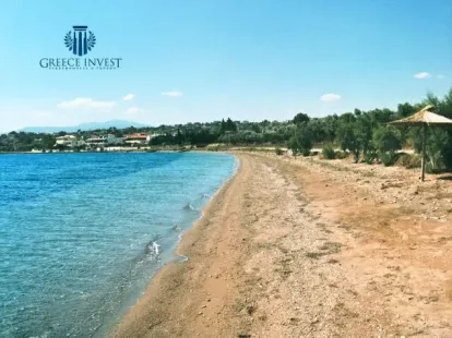 Земля, Греція, Пелопоннес, 5 000 000 € фото 6