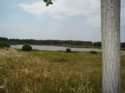 Gewerbeimmobilie / Hotel, Griechenland, Chalkidiki, Kassandra, 12 000 000 € foto 11