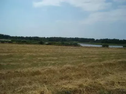 Gewerbeimmobilie / Hotel, Griechenland, Chalkidiki, Kassandra, 12 000 000 € foto 5