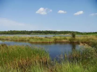 Gewerbeimmobilie / Hotel, Griechenland, Chalkidiki, Kassandra, 12 000 000 € foto 8
