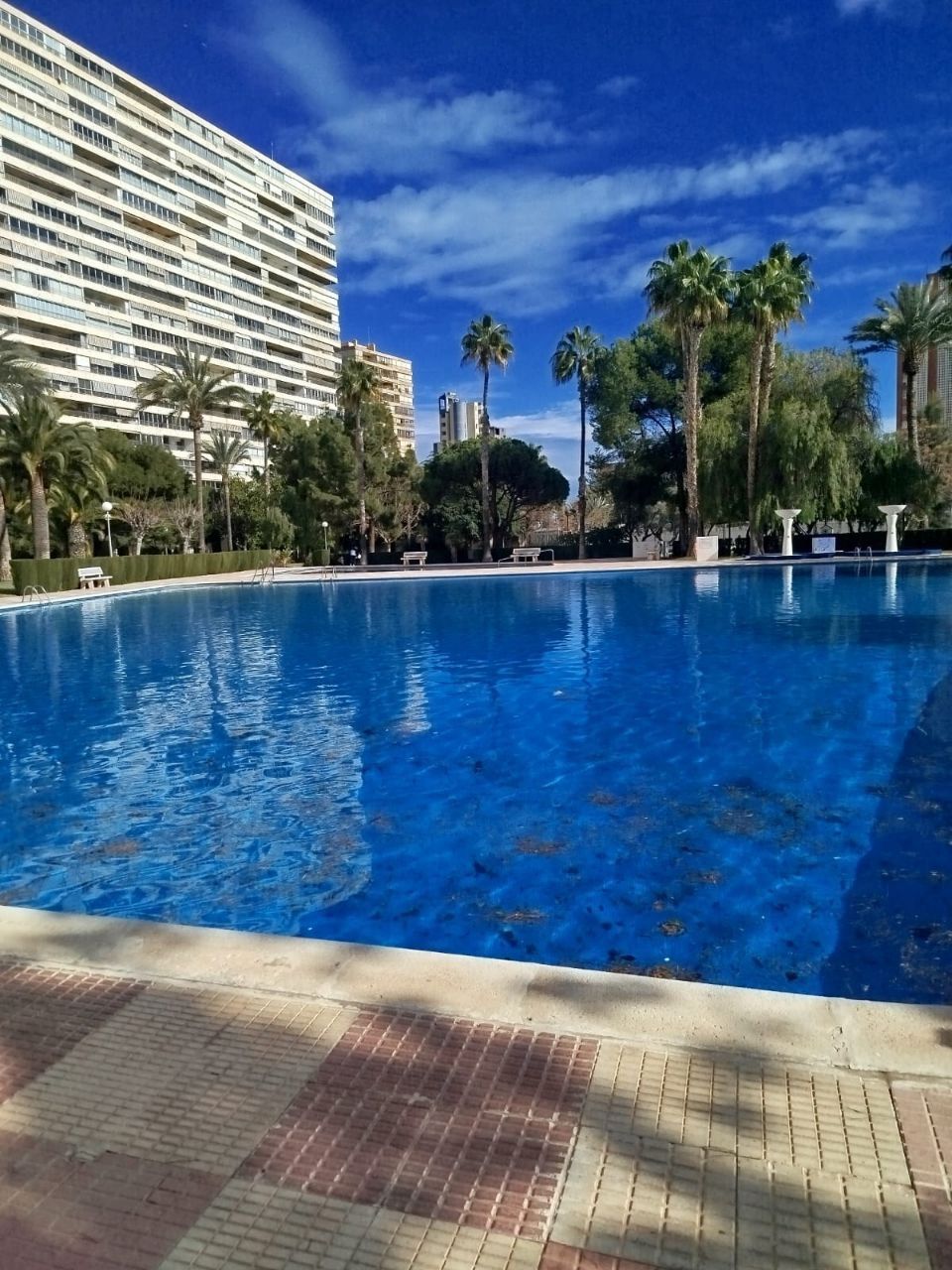 Апартаменти в San Juan в Аліканті, Іспанія - вартість 639&nbsp;000€ - Ref: 79894 фото 1